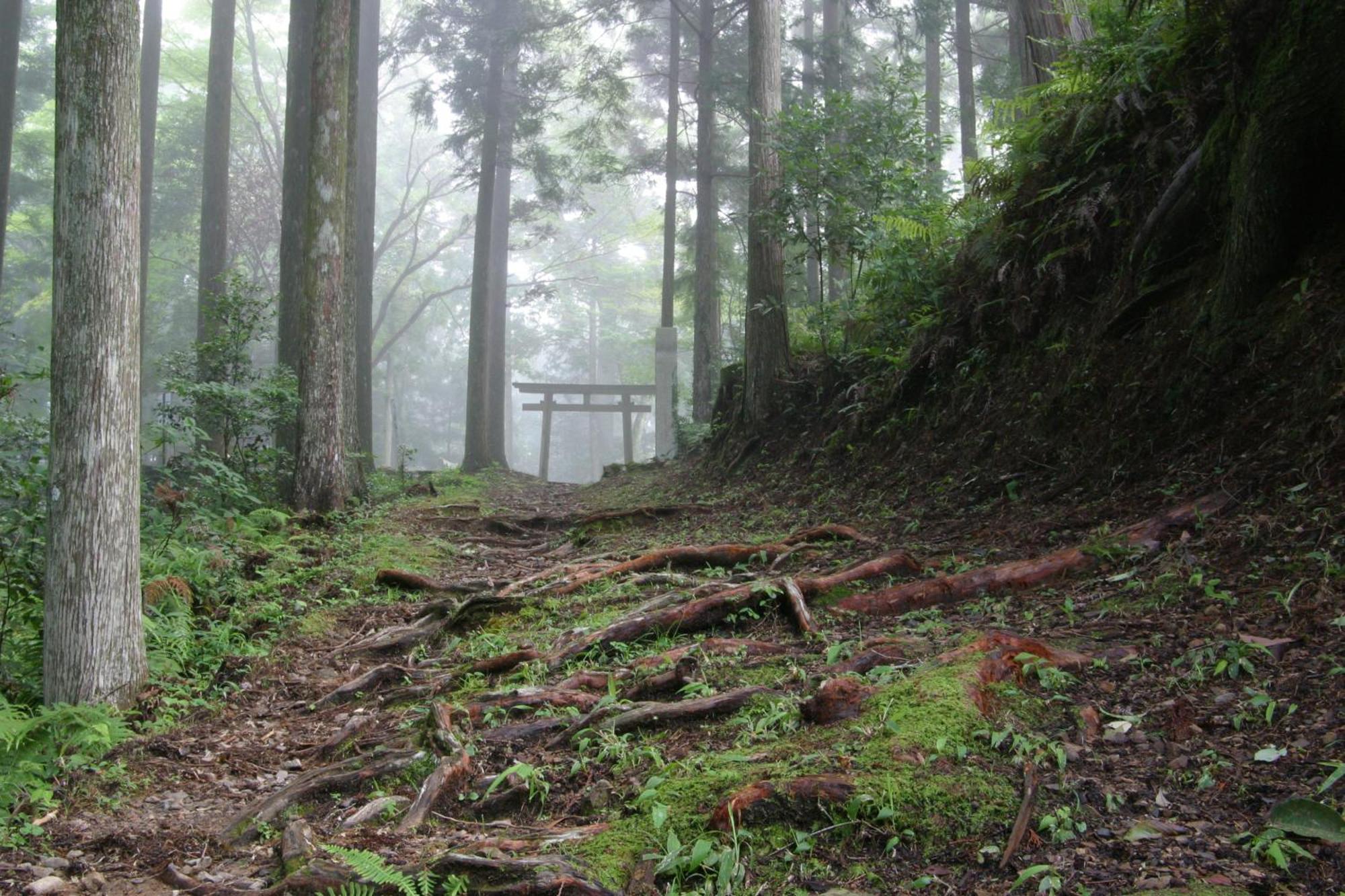 Отель Ashita No Mori Хонгу Экстерьер фото